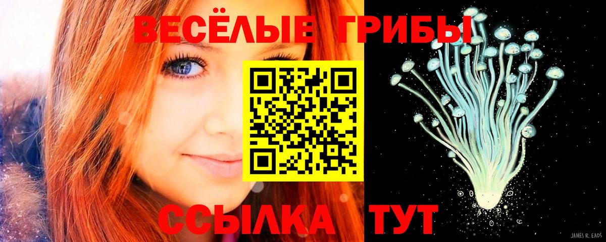 Псилоцибиновые грибы Psilocybine cubensis  Вход с VPN  Дзержинский 